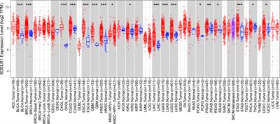 KDELR1 Is an Independent Prognostic Predictor and Correlates With Immunity in Glioma